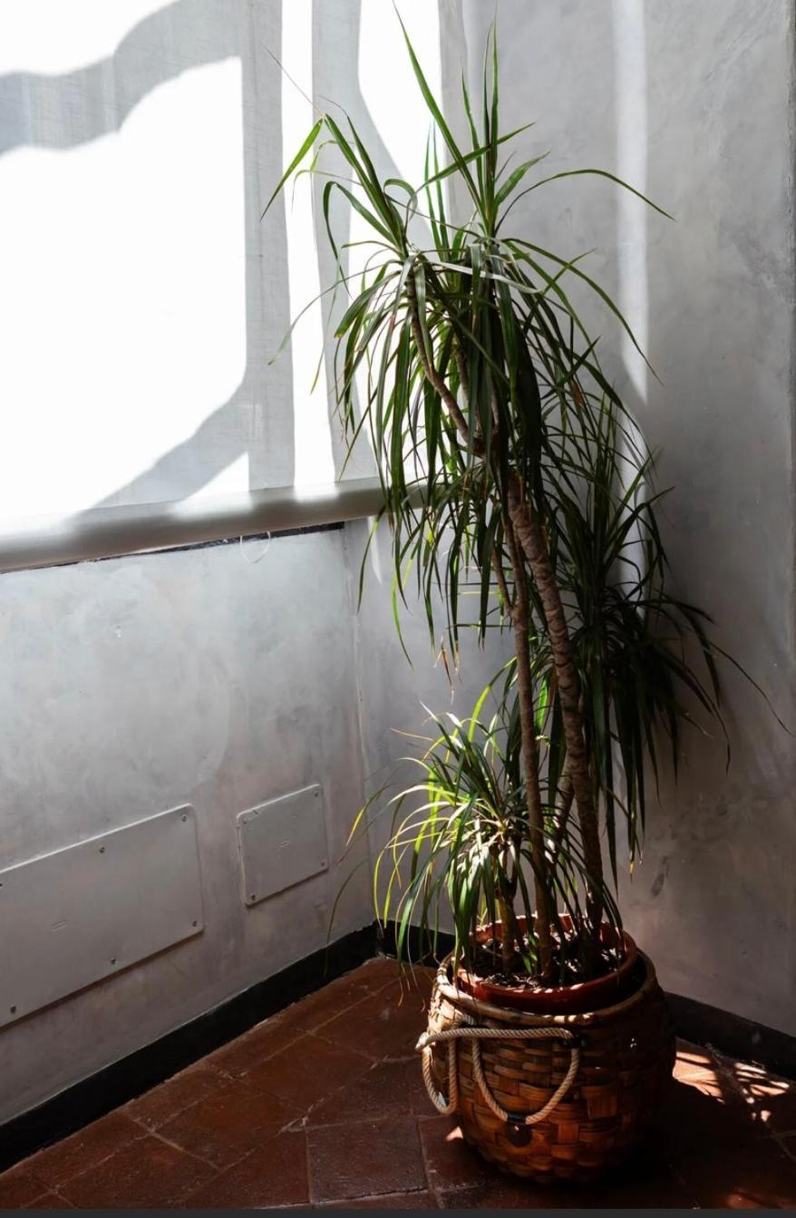 Apartment Domus Vivenda Genua
